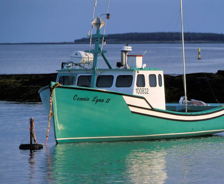 Cape Island Boat